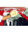 Champú Car Wash Mothers